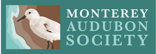 Monterey Audubon Society